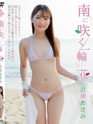 南に咲く一輪の花/近藤あさみ