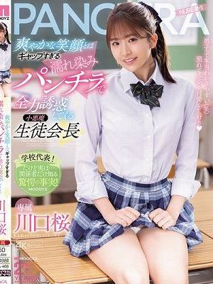 爽やかな笑顔とはギャップすぎる濡れ染みパンチラで全力誘惑してくる小悪魔生徒会長 川口桜