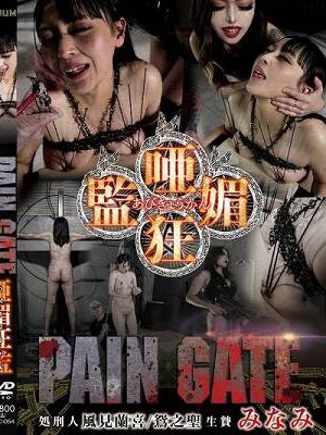 PAIN GATE 唖媚狂監 / みなみ