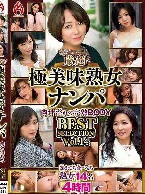 厳選！極美味熟女ナンパ 肉汁溢れる完熟BODY BEST SELECTION Vol.14