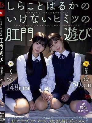 しらことはるかのいけないヒミツの肛門遊び 肛則を守れないひよこ女子を呼び出して幼気な6つ穴におじさん達が寄ってたかって肉棒を挿れてみた。 池内遥 しらこ