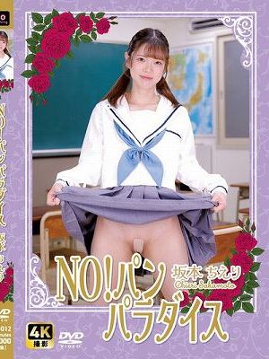 NO!パン　パラダイス / 坂本ちえり