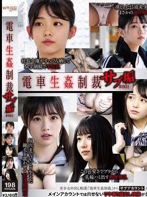 電車生姦制裁サブ垢 #001